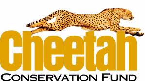 Cheetah Conservation Fund