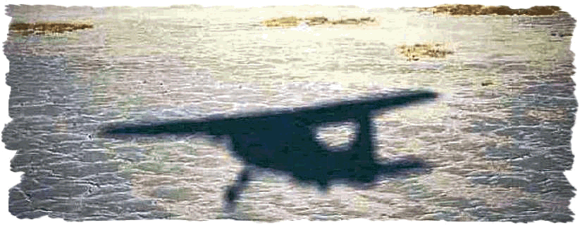 Botswana Flying Safari