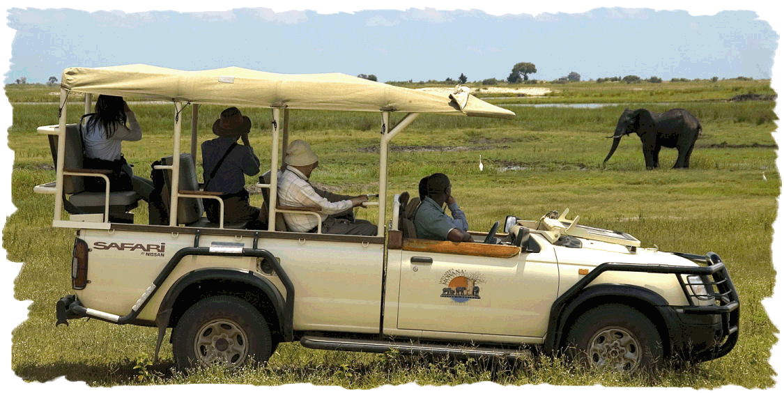 Botswana Safari Drive