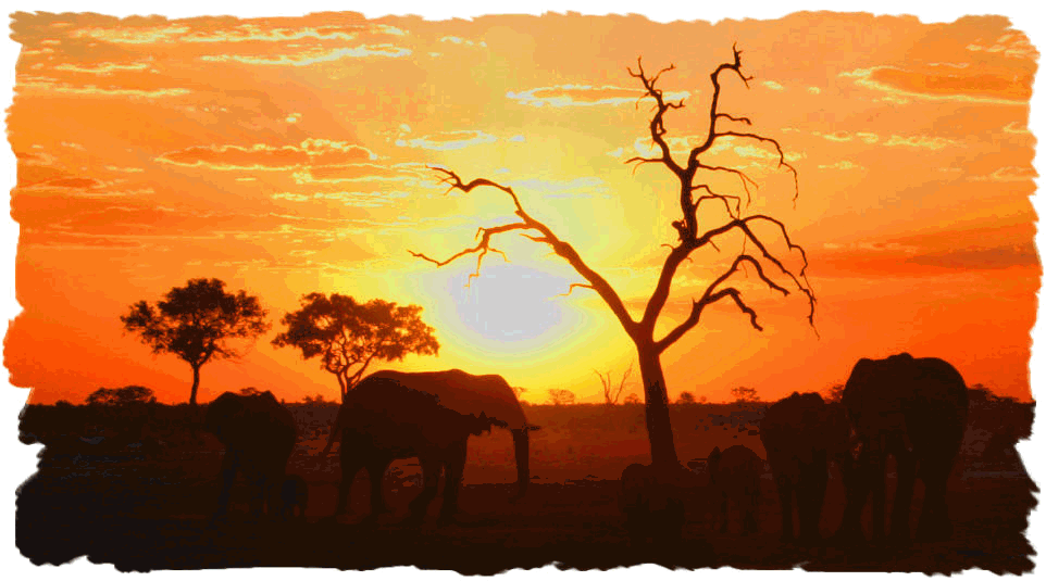 Botswana Self Drive