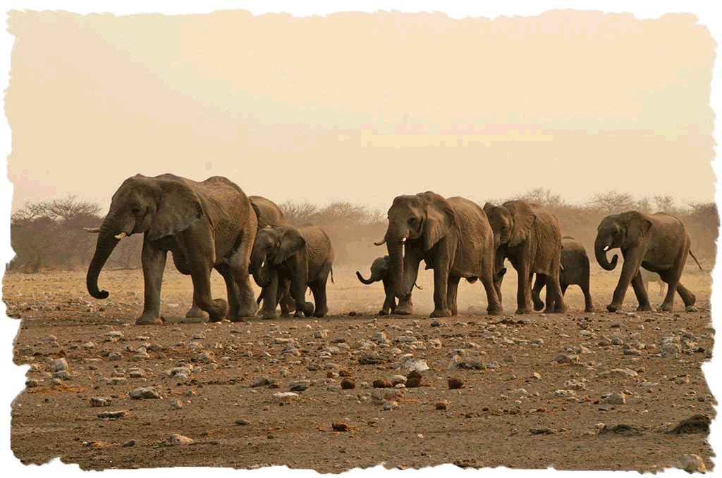 Namibie/Botswana