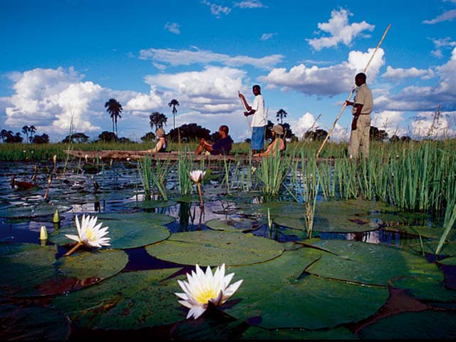 Okavango Delta