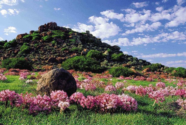 Namaqualand