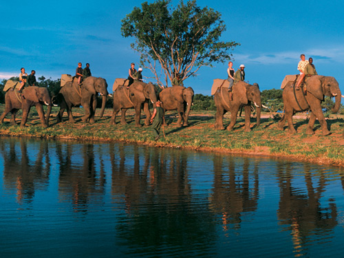 Elephant Back Safari