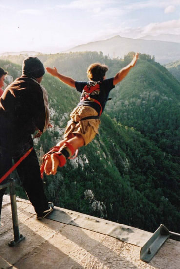 Saut à l'élastique