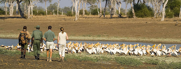 Kafue National Park